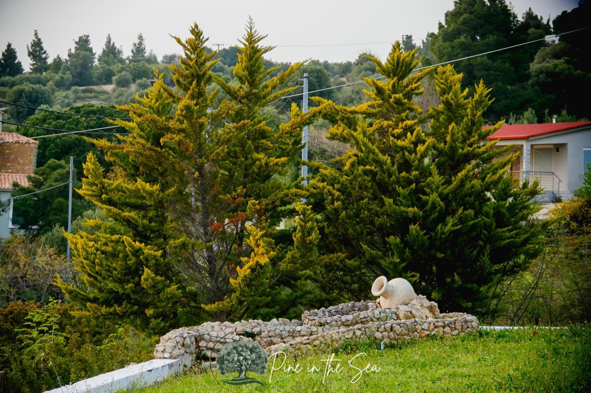 Pine In The Sea Nikiti-Sithonia Apartment Bagian luar foto